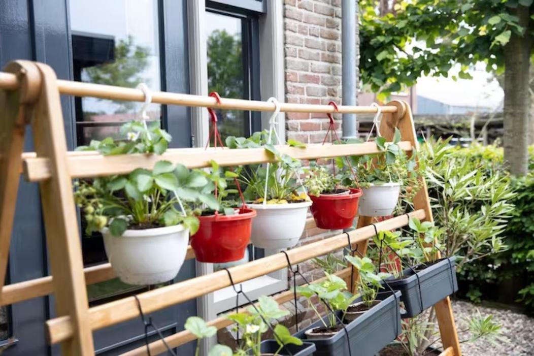 B&B Klassiek Twijzelerheide Eksteriør bilde